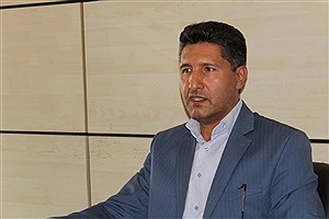 ممانعت از مهاجرت با حمایت از شرکت های استارتاپی