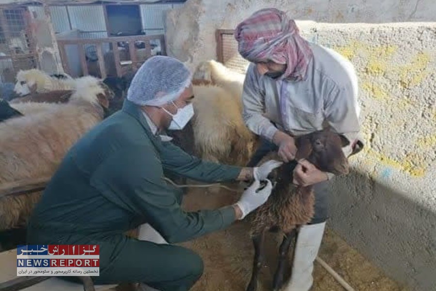 جهاد دامپزشکی با هدف محرومیت زدایی روستاهای کم برخوردار