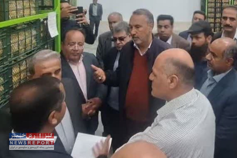 رتبه دوم جذب مواد خام محصولات کشاورزی در کشور به استان فارس رسید