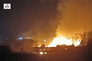 آتش‌سوزی نیزارهای تالاب هفت برم شیراز مهار شد