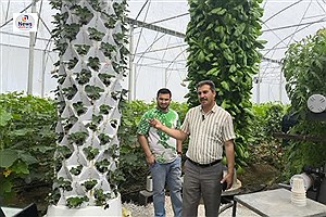 راه‌اندازی سیستم کشت عمودی ایروپونیک توسط گلخانه‌دار بیضایی