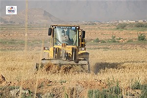 امحاء مزارع آلوده در شیراز از ۱۰۰۰ هکتار گذشت