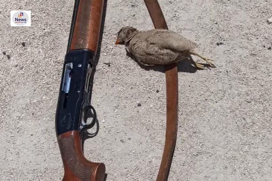 دستگیری شکارچی متخلف و کشف سلاح غیر مجاز و لاشه تیهو در قیروکارزین