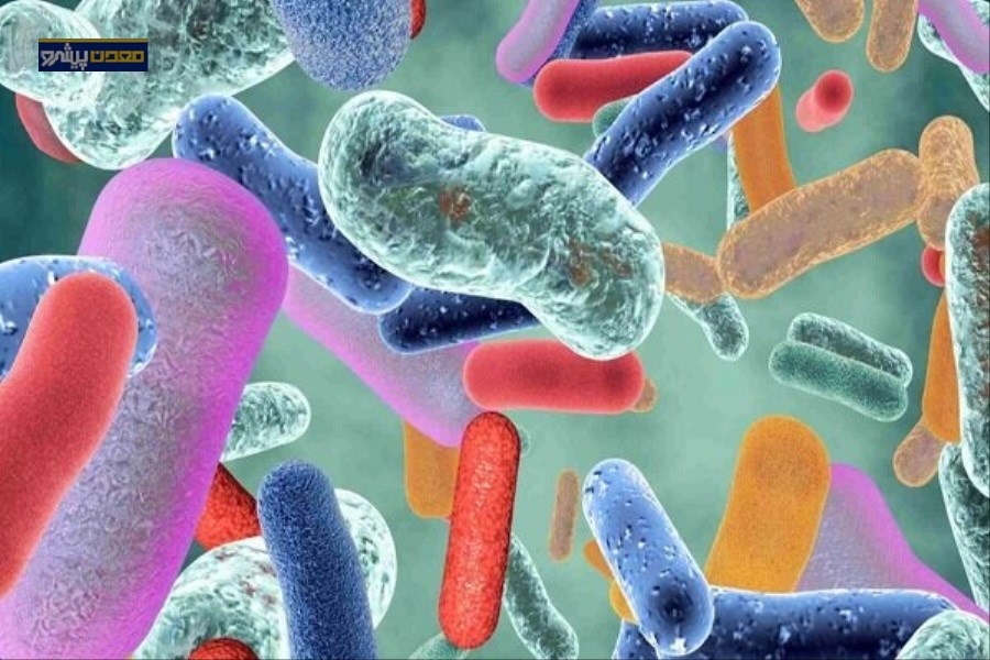 تبدیل ماده معدنی معمول به ضدمیکروب پایدار با اثرگذاری گسترده