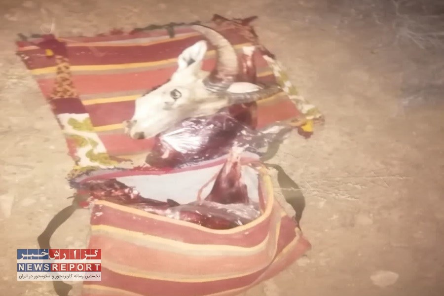 دستگیری شکارچیان غیرمجاز در کوه بافق