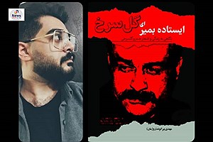 کتاب ایستاده بمیر ای گل سرخ اثر جدید مهدی بیرانوند رونمایی شد