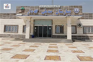 وضعیت بیمارستان گله‌دار: انتقادات و انتظارات/ مشکلات ساختاری و خدماتی بیمارستان گله‌دار در سایه بی‌توجهی مسئولان