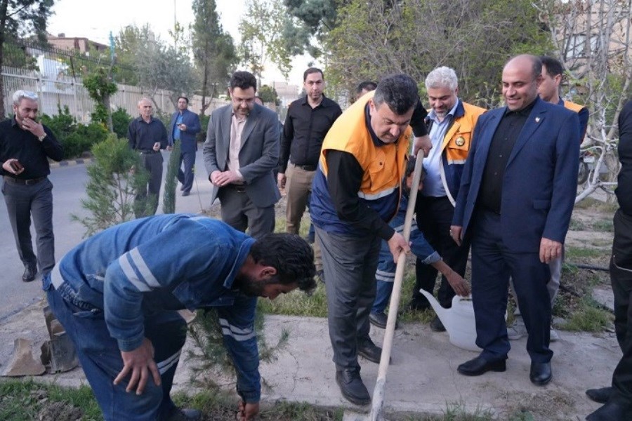 کاشت درخت در مناطق برق به یاد شهدای شرکت توزیع برق استان تهران