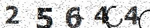 تصویر امنیتی